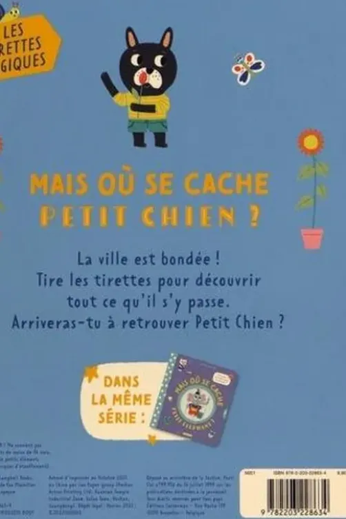 Mais où se cache petit chien ?, Emilie Lapeyre