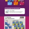 Management des entreprises BTS 2e année. Edition 2019, Marie-José Chacon