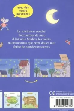 Ma nuit, Marianne Dubuc