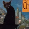 Ma vie de chat, Colette de Buyser