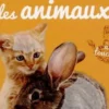 Mes amis les animaux, Langue au chat