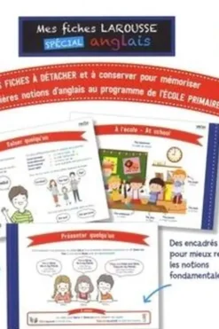 Mes fiches Larousse spécial anglais
