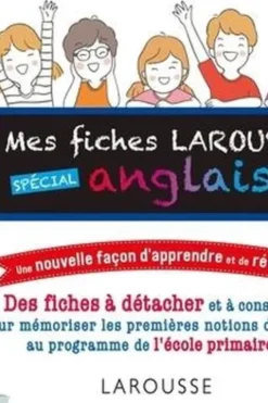 Mes fiches Larousse spécial anglais