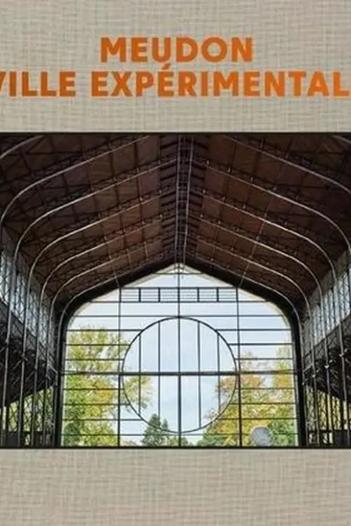 Meudon ville expérimentale, Bertil Scali
