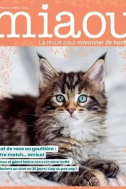 Miaou N° 13, mars-avril 2021 : Chat de race ou gouttière : notre match... amical, Laura Stioui