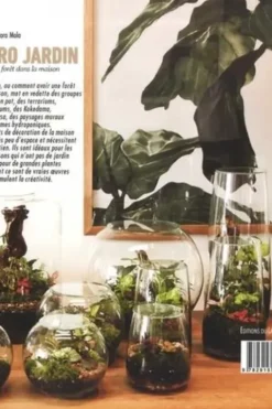 Micro jardins, une forêt dans la maison. Edition en langues multiples, Francesc Zamora Mola