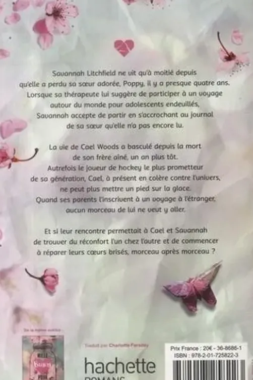 Mille morceaux de coeur brisé, Tillie Cole