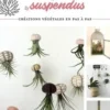 Mini-jardins suspendus, Stéphanie Clémarès