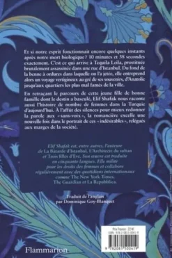 10 minutes et 38 secondes dans ce monde étrange, Elif Shafak