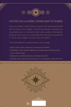 Mon carnet de travail sur l'ombre. 50 exercices pour faire la lumière sur vos zones d'ombre, Stephanie Kirby