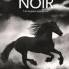 Noir. Une histoire dans la nuit, Stéphane Kiehl