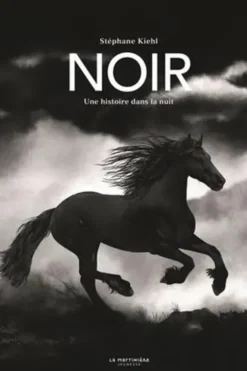 Noir. Une histoire dans la nuit, Stéphane Kiehl