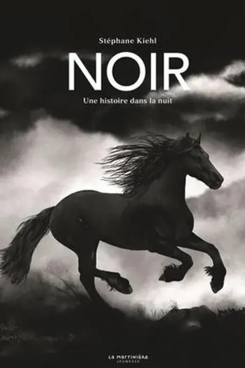 Noir. Une histoire dans la nuit, Stéphane Kiehl