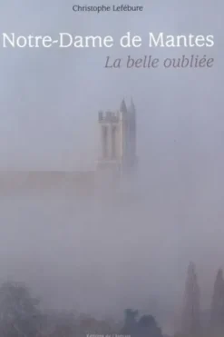 Notre-Dame de Mantes. La belle oubliée, Christophe Lefébure