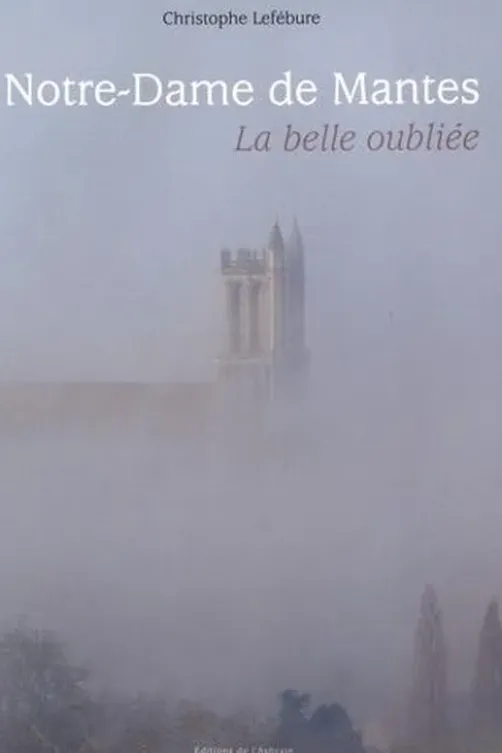 Notre-Dame de Mantes. La belle oubliée, Christophe Lefébure