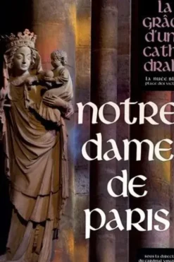 Notre-Dame de Paris. La grâce d'une cathédrale, André Vingt-Trois