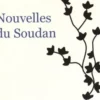 Nouvelles du Soudan, Mohamed Kheir Abdalla