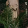 Parole et prière n°69 : Prier avec Saint Vincent Ferrier, Collectif