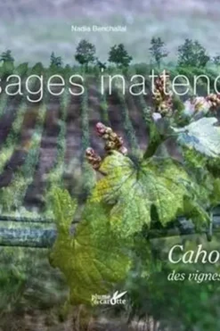 Paysages inattendus. Cahors... des vignes et des hommes, Nadia Benchallal