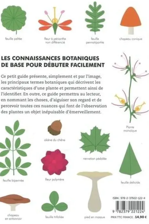 Petit guide illustré de botanique, Corinne Décarpentrie