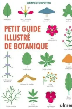 Petit guide illustré de botanique, Corinne Décarpentrie