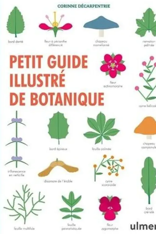 Petit guide illustré de botanique, Corinne Décarpentrie