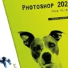 Photoshop pour PC/Mac. Edition 2021, Didier Mazier