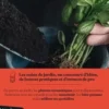 Plantes aromatiques, Andrew Mikolajski