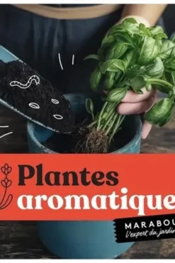 Plantes aromatiques, Andrew Mikolajski
