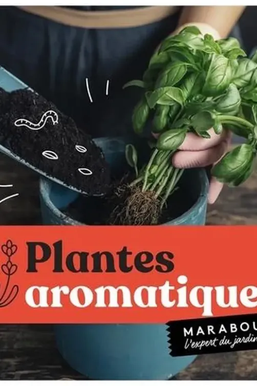 Plantes aromatiques, Andrew Mikolajski
