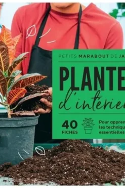 Plantes d'intérieur, Claire Pinson