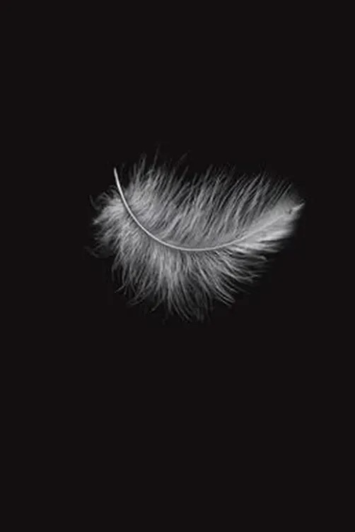 Plumes, Patrice Mariolan