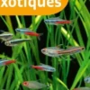 80 poissons exotiques. Les meilleures espèces pour aquarium d'eau douce, Renaud Lacroix
