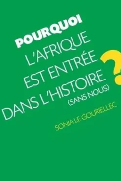 Pourquoi l'Afrique est entrée dans l'histoire (sans nous) ?, Sonia Le Gouriellec