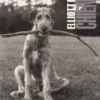 Quelle vie de chien, Elliott Erwitt