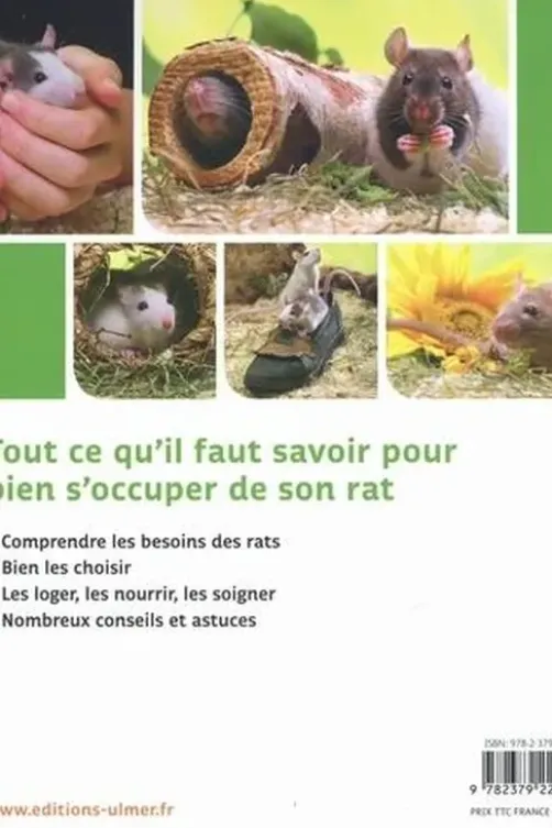 Rats, Georg Gassner