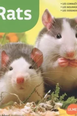 Rats, Georg Gassner