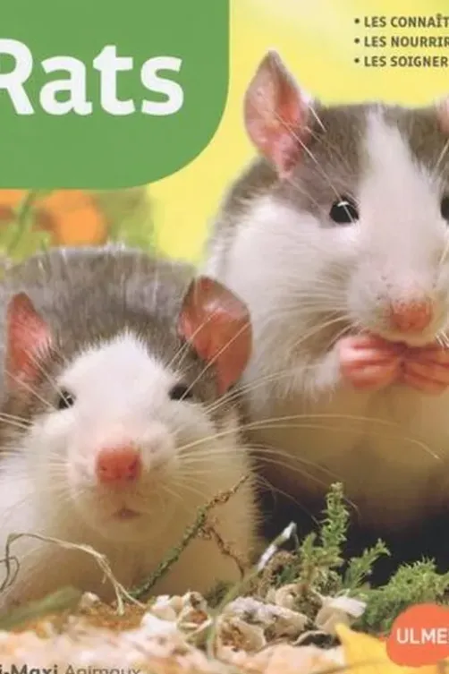 Rats, Georg Gassner