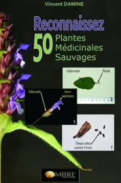Reconnaissez 50 plantes médicinales sauvages, Vincent Damine