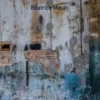Reste(s), Béatrice Mauri