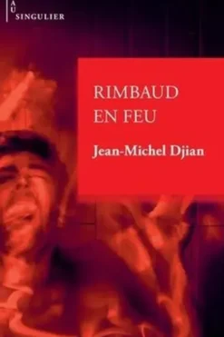 Rimbaud en feu, Jean-Michel Djian