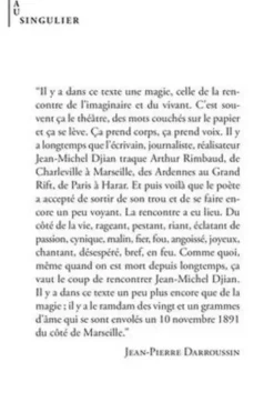 Rimbaud en feu, Jean-Michel Djian