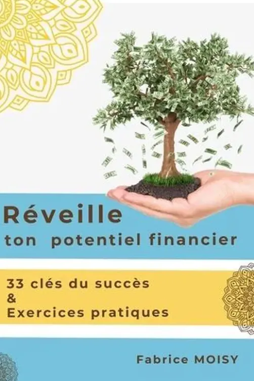 Réveille ton potentiel financier. 33 clés du succès & exercices pratiques, Fabrice Moisy