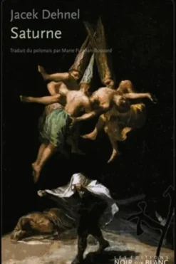 Saturne. Peintures noires de la vie des hommes de la famille Goya, Jacek Dehnel