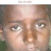 Sawaba. Une vie volée, Ludovic Falandry