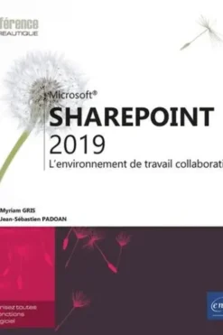 SharePoint 2019. L'environnement de travail collaboratif, Jean-Sébastien Padoan