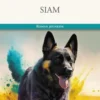 Siam, Joëlle Huette