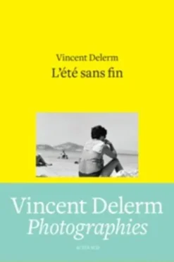 Songwriting ; L'été sans fin ; C'est un lieu qui existe encore, Vincent Delerm