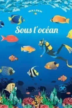 Sous l'océan, Jean-Marc Dubray-Baurain