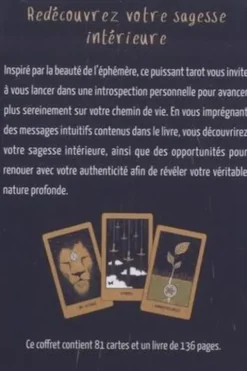 Tarot de la lumière éphémère, Ari Wisner